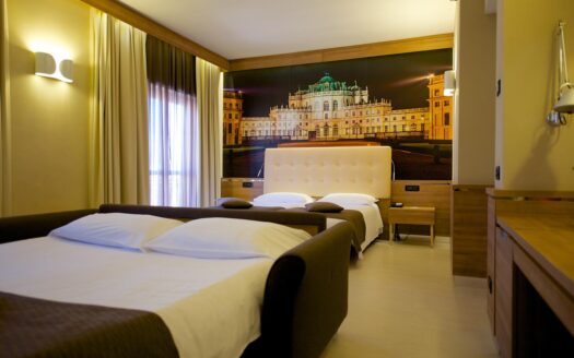 R0238 ASSET, Piemonte, Torino, Torino