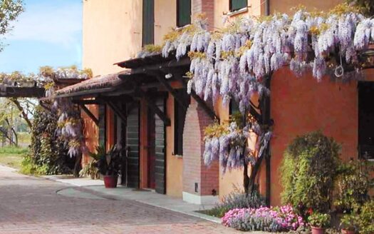 R0239 ASSET, Emilia Romagna, Cavezzo, Modena