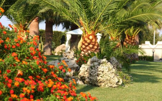 R0351 ASSET, Calabria, Riace Marina, Reggio Calabria