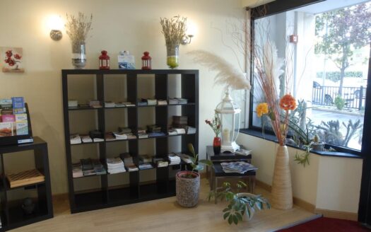 R0360 ASSET, Liguria, Ventimiglia, Imperia