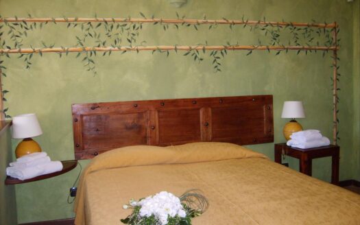 R0401 ASSET, Piemonte, Desana, Vercelli