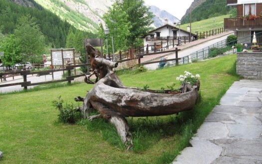 R0621 ASSET, Valle D’Aosta, Valsavarenche, Aosta
