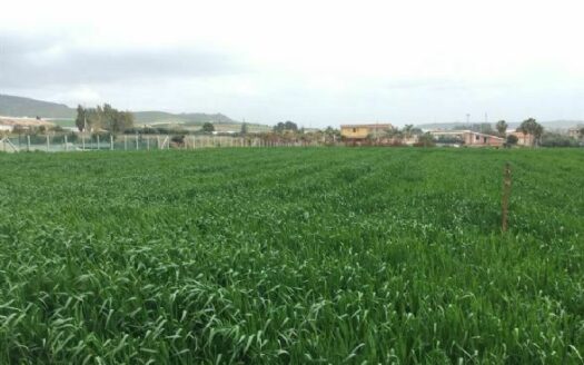 R0674 ASSET, Sicilia, Licata, Agrigento