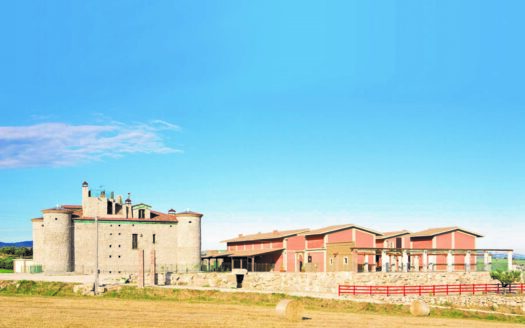 R0688 ASSET, Campania, Pietrelcina, Benevento