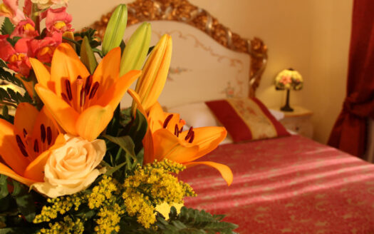 R0770 ASSET, Veneto, Venezia, Venezia