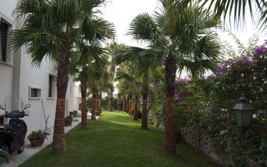 R0839 ASSET, Calabria, Lamezia Terme, Catanzaro