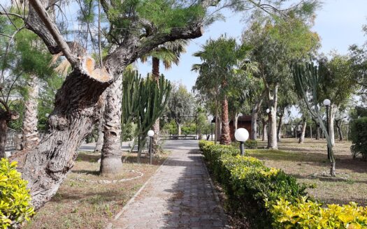 R1058 ASSET, Calabria, Nocera Terinese, Catanzaro