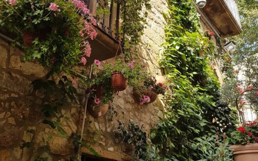 R1123 ASSET, Sicilia, Piazza Armerina, Enna